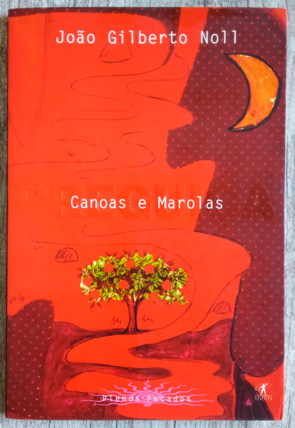 Canoas e marolas plenos pecados, João Gilberto Noll, editora objetiva, livro usado