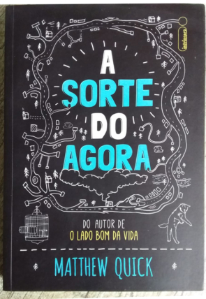 A sorte do agora, Matthew Quick, editora intrínseca, livro usado