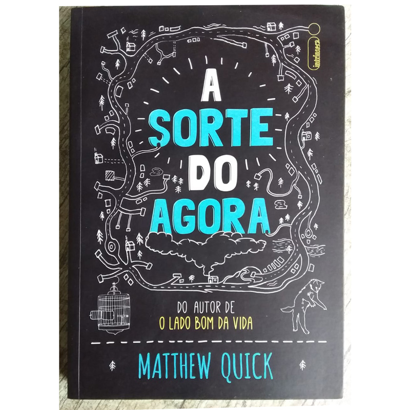 A sorte do agora, Matthew Quick, editora intrínseca, livro usado